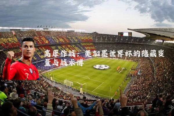 高原作战：美加墨世界杯的隐藏变量与战术博弈